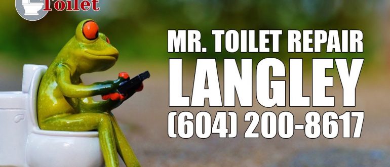 Mr Toilet Repair Langley